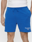 Tommy Jeans Spordi&scaron;ortsid Tjm Entry Graphic DM0DM19153 Sinine Regular Fit