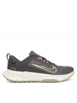 Nike Jooksujalatsid Juniper Trail 2 Gtx V2 HM9734 200 Hall
