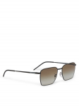 Emporio Armani P&auml;ikeseprillid 0EA2172D 300113 Pruun