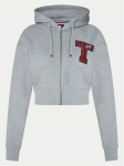 Tommy Jeans Pluus DW0DW20535 Hall Regular Fit