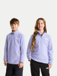 The North Face Fliis Glacier NF0A8CVGNO51 Helesinine Regular Fit