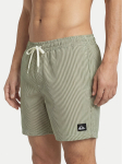 Quiksilver Ujumis&scaron;ortsid Everyday Deluxe EQYJV04101 Roheline Regular Fit