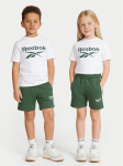 Reebok Komplekti kuuluvad t-s&auml;rk ja &scaron;ortsid Blake RK95033CCB V&auml;rviline Regular Fit 5_6Y