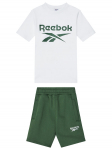 Reebok Komplekti kuuluvad t-s&auml;rk ja &scaron;ortsid Blake RK95033CCB V&auml;rviline Regular Fit 6_7Y