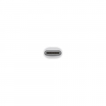 APPLE USB-C VGA mitmeportne adapter