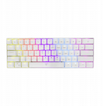 White Shark Shinobi-2 valge sinine vahetus