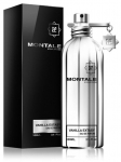 Montale Vanilliprlit Eksistentsia Parfm EDP 100 ml
