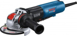 BOSCH GWX 17-125 PSB nurkveskitega lihvmasin 12,5 cm 11500 p/min 1700 W 2,3 kg