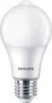 Philips by Signify Philipsi pirn 60W A60 E27