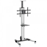 StarTech.com TV kasti - Krguse reguleeritav - Lukustatavad ratastelgid