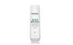 GOLDWELL Dualsenses Peanoharaps Spetsialisti Svapuhastusampoon 250 ml