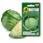 PNOS Kapsa seemned | Valge peakapsas Roem Van Enkhuizen 2 | 2g pakend