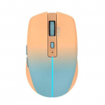 Inca IWM-511RT hiir Office Parempoolne Raadiovrk + Bluetooth + USB Type-C Optiline 1600 DPI