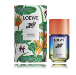 LOEWE Paula Ibiza Eklektiline Parfm EDT 50 ml