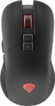 Genesis Zirkoon 330 Must