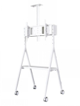 NEWSTAR MOBILE FLAT SCREEN FLOOR STAND (KRDSUS: 110 - 144 CM) 32-65" VALGE