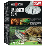 Heating bulb for terrarium : Repti Planet Bulb Halogen Spot 25W