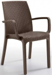 BICA Indiana Brown