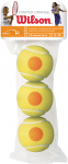 Wilson Starter Orange - tennispallo, 3 kpl (WRT137300)