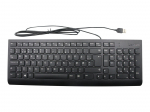 Lenovo Keyboard USB KB BK DEN W/o Mouse