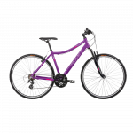 Women's bicycle ROMET Orkan D, purple (L)