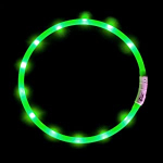 Anicoll LED Collar for Dogs and Cats Green