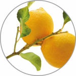 Medisana Aroomi essents Lemon