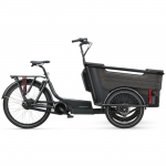 Elektriratas BATAVUS Fier 3