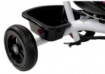 LEAN Toys Tricycle PRO300 Gray