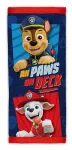 Seven Vriistikaitse Paw Patrol poisid