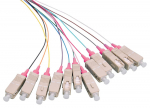 LOGON PROFESSIONAL Fiber Pigtail Set 12x SC OM4 2M Colored with Violet