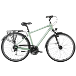 Bicycle ROMET Wagant 5, green (L)