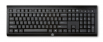 HP Wireless Keyboard K2500 Spa