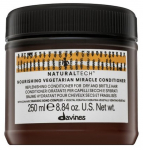 Davines Natural Techi toitlik konditseerija 250 ml