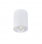 CEILING LIGHT POINT FITTING BORD DLP-50W