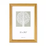 Savex Foto rmis, plastmasas, A4, 21x29,7 cm, zelta krs
