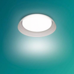 Philips Ceiling light