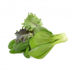 Click And Grow Smart Garden Refill 9-kihtne Aasiaaiad```