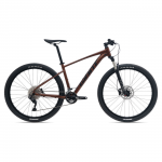 Bicycle GIANT Talon 29 1 GE, Hematite (M)