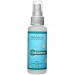 Saloos Natur aroma Airspray - Eucalyptus (loonuslik huvrskendaja) 50ml