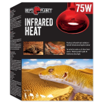 Heating bulb for terrarium : Repti Planet Bulb Infrared HEAT 75W