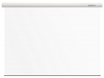 Grandview Fantasy motorized WM screen 1:1 Viewing area 2656 x 2656