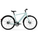 Electric bicycle TENWAYS CGO600 PRO, Mint Green (L)