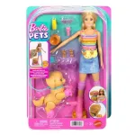 Barbie Lemmikud, rullaluistlev muotinukke ja lemmik (JMJ44)