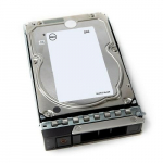 DELL 161-BCJX sisemine kvaketas 12 TB 7200 RPM 3.5 NL-SAS