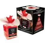 Sweet Home Collection Seederpuu ja kaneel luksuslik difuuser 150ml