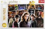 Trefl Harry Potter puzzle 160 tk. Harry Potter ja sbrad 15418