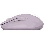 CANYON MW-12 Roosa