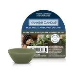Yankee Candle Hbedane Salvia ja Mnd 22 g