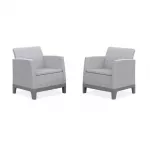 Keter Aedatooli toolid 2 tk Scandi Form heleklmikas / tumekasvakas (steel grey)